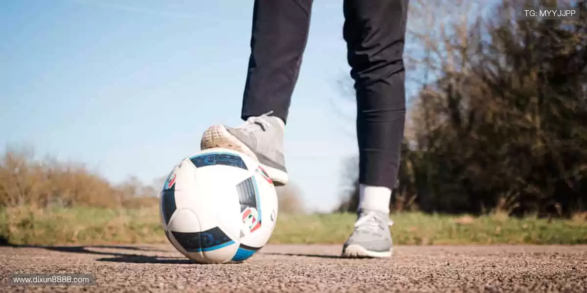 🎉 冠军之路,与你同在,